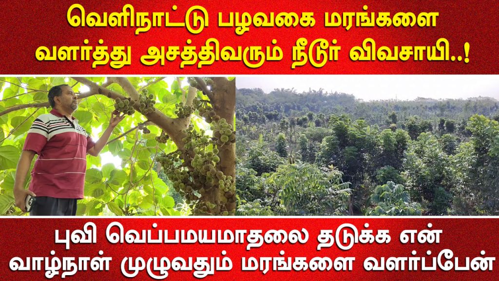 Nidur farmer