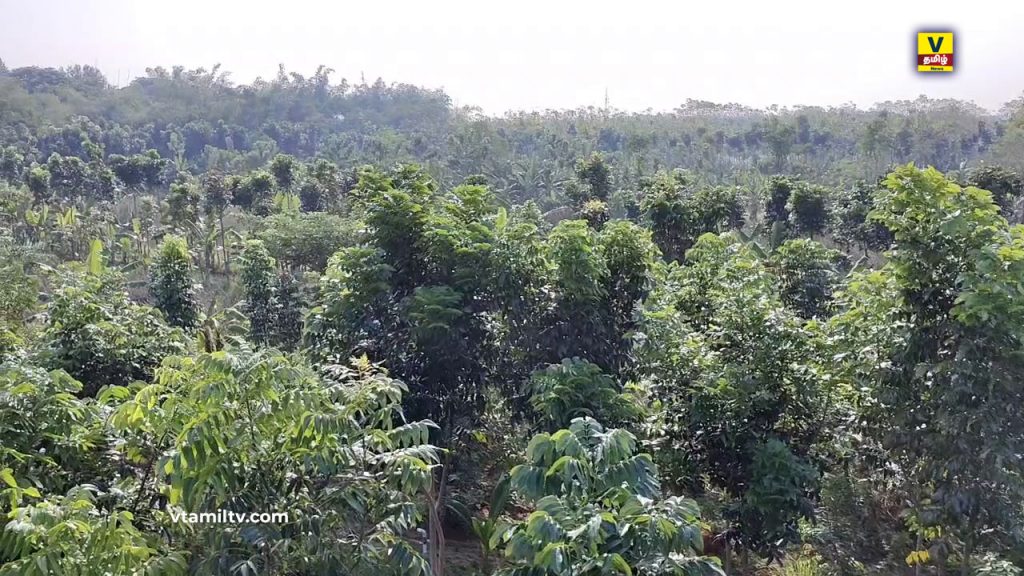Nidur farmer