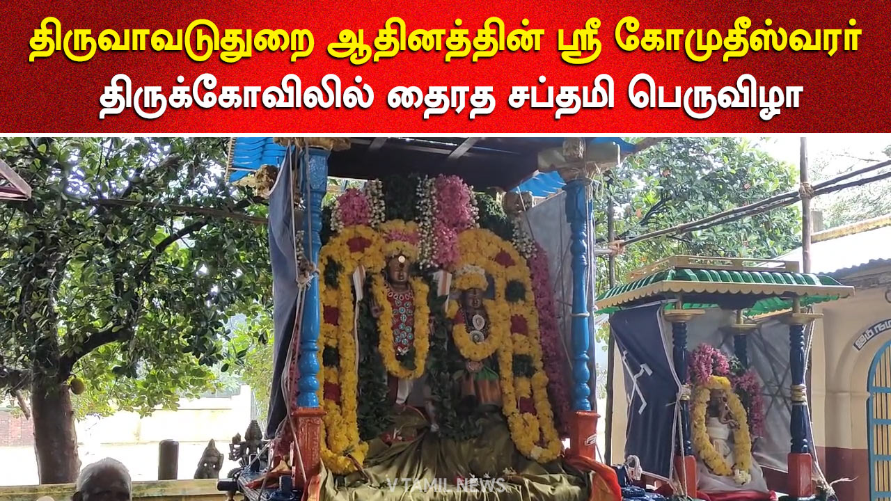 V Tamil Newsthimis