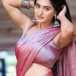 Interview with Rashi Singh at Bhoothaddam Bhaskar Narayana 3