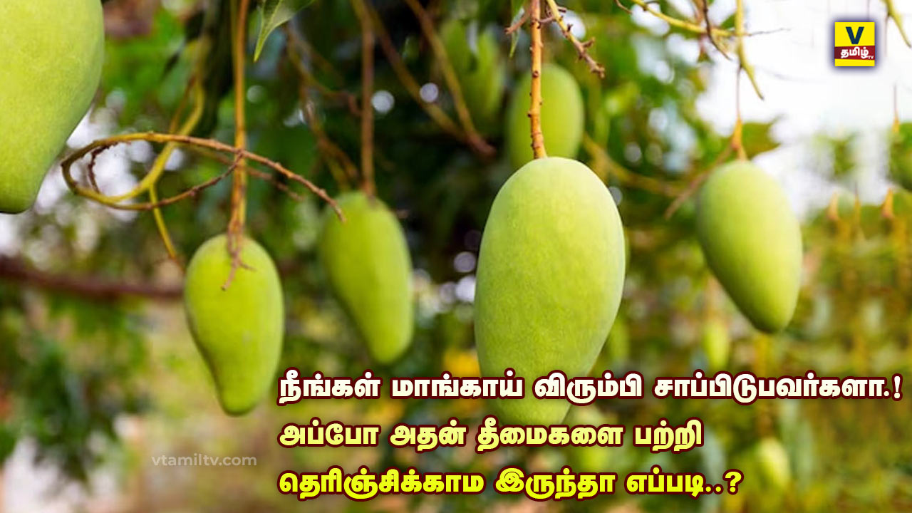 Disadvantages of mangoes
